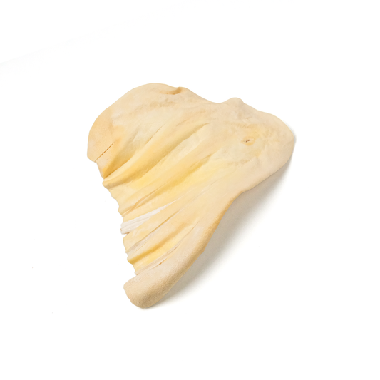 Beef Ears Freeze-Dried