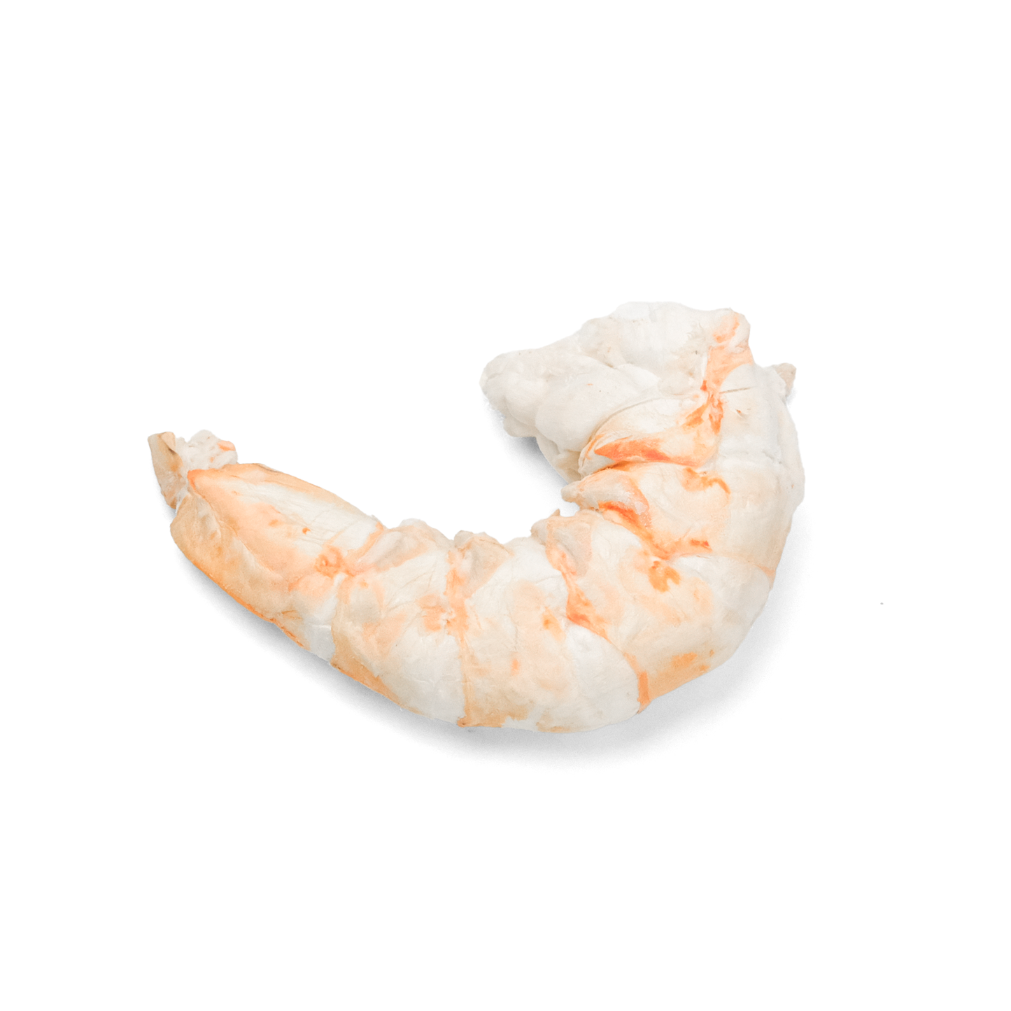 Extra Large Shrimp Freeze-Dried
