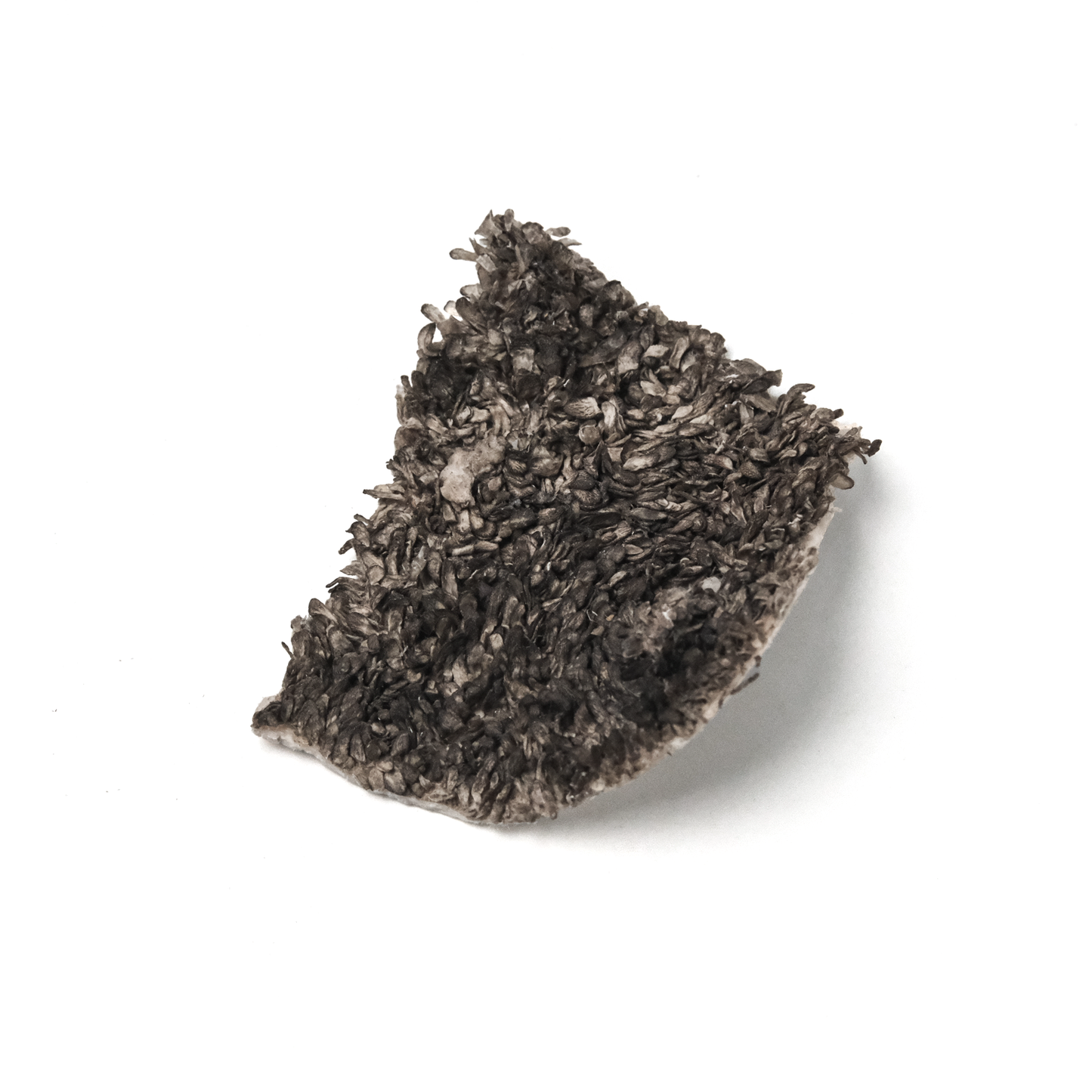 Lamb Tripe Freeze-Dried