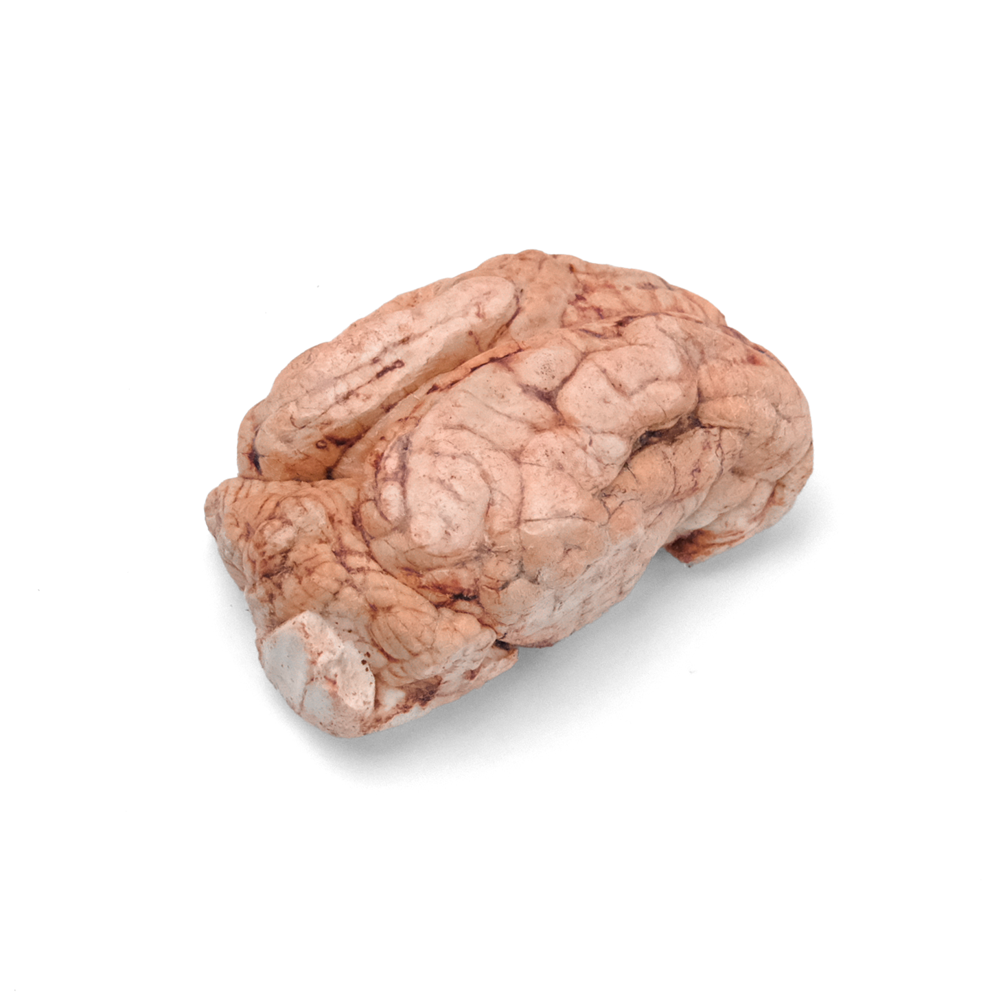 Pork Brain Freeze-Dried