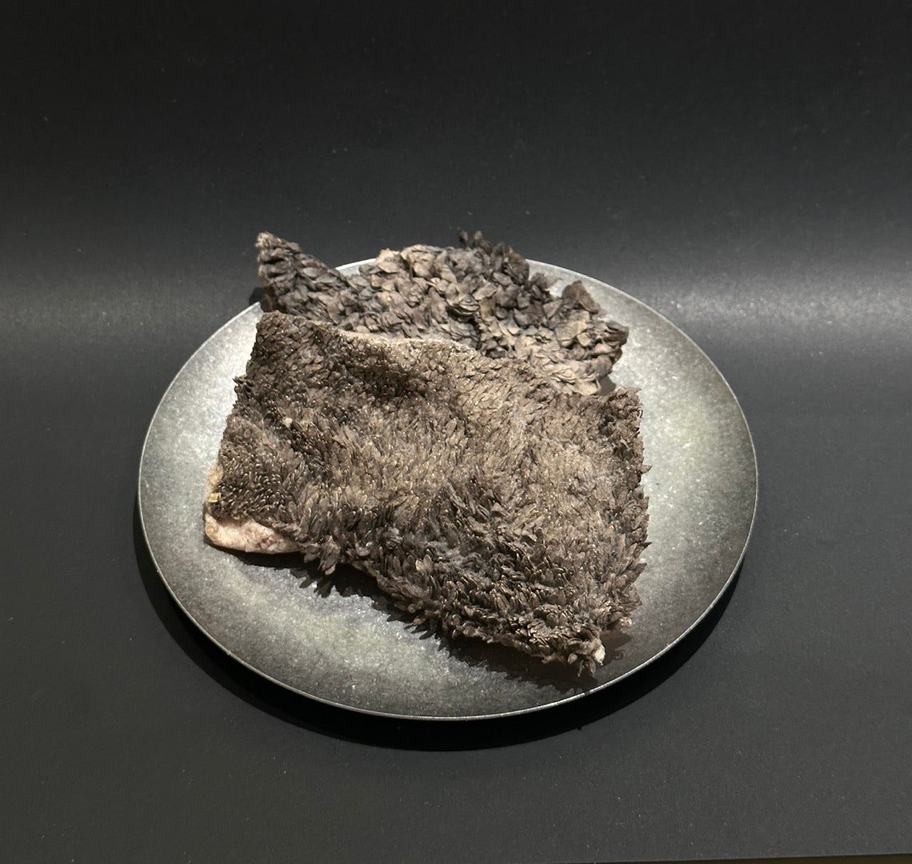 Beef Tripe Freeze-Dried