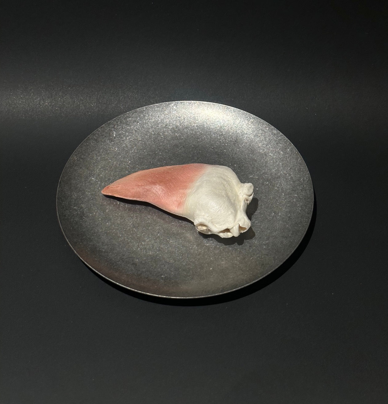 Large Mabe Freeze-Dried