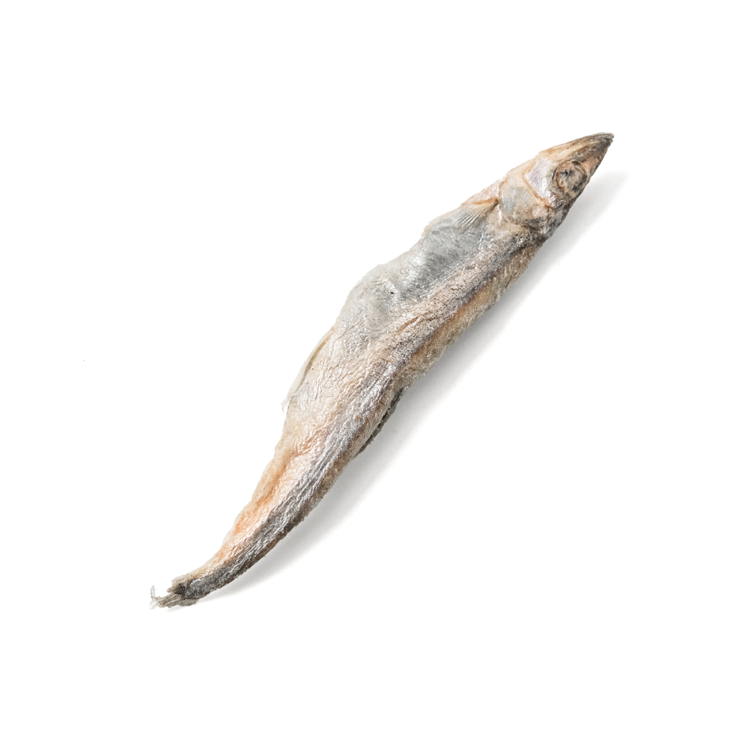 Norwegian Capelin Freeze-Dried