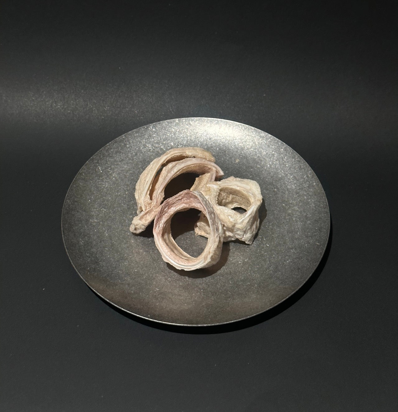 Beef Windpipe Freeze-Dried