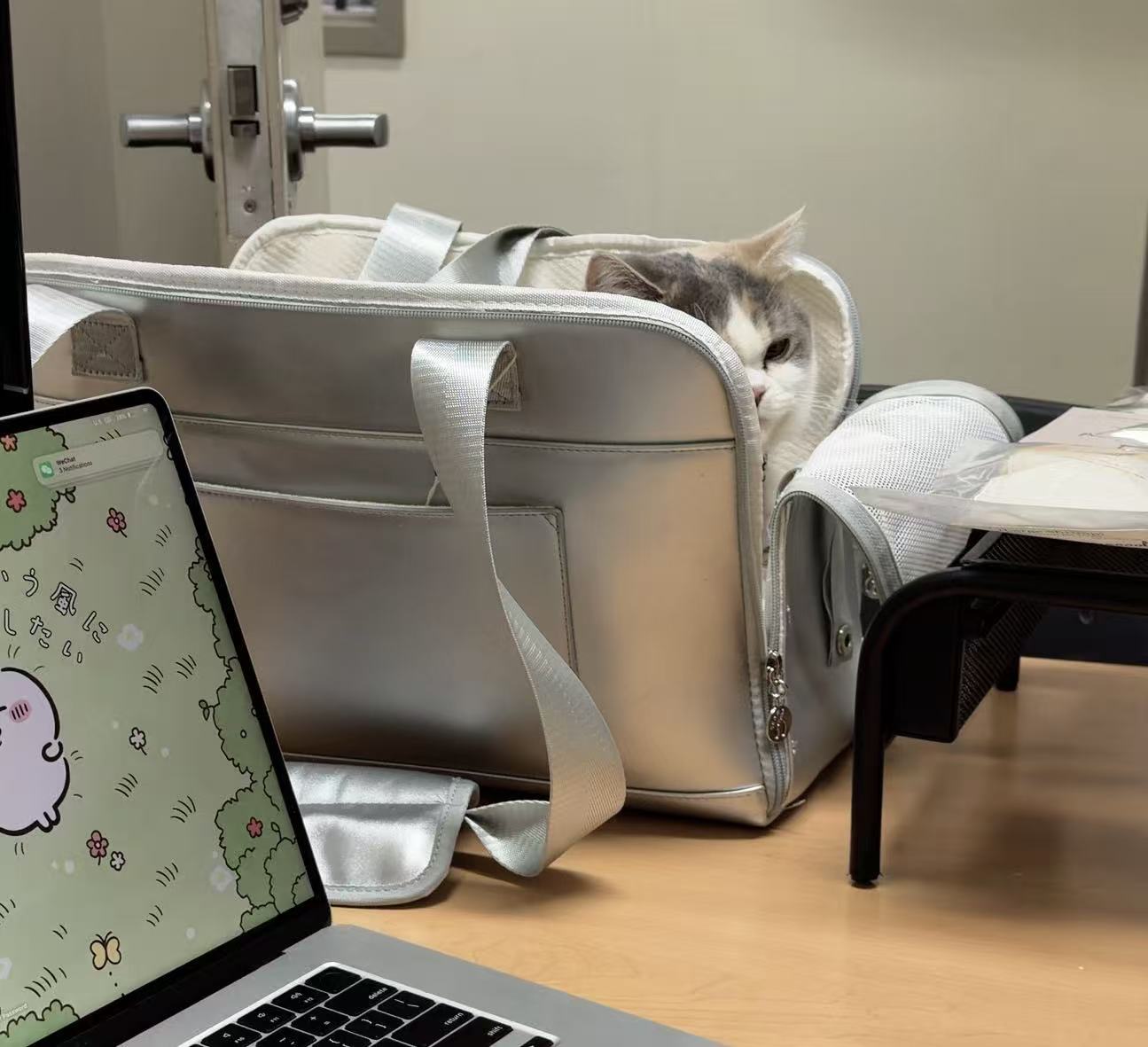 Pet Travel Tote Ita Bag – Silver (Pre-Order)