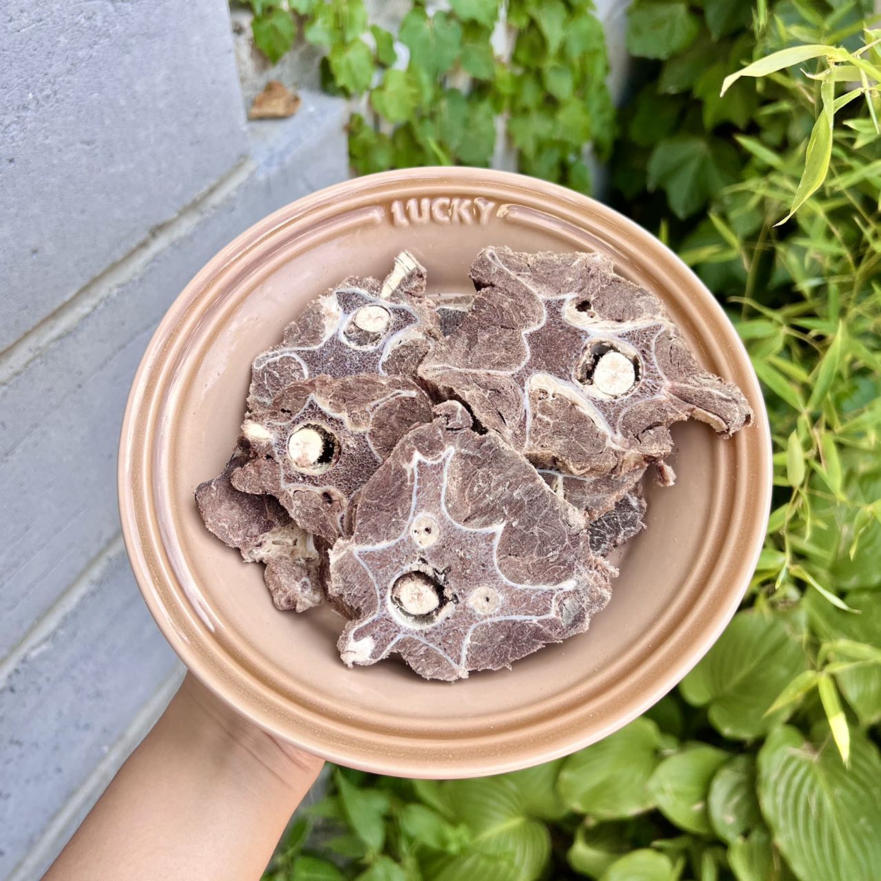 Beef Neck Bones Freeze-Dried