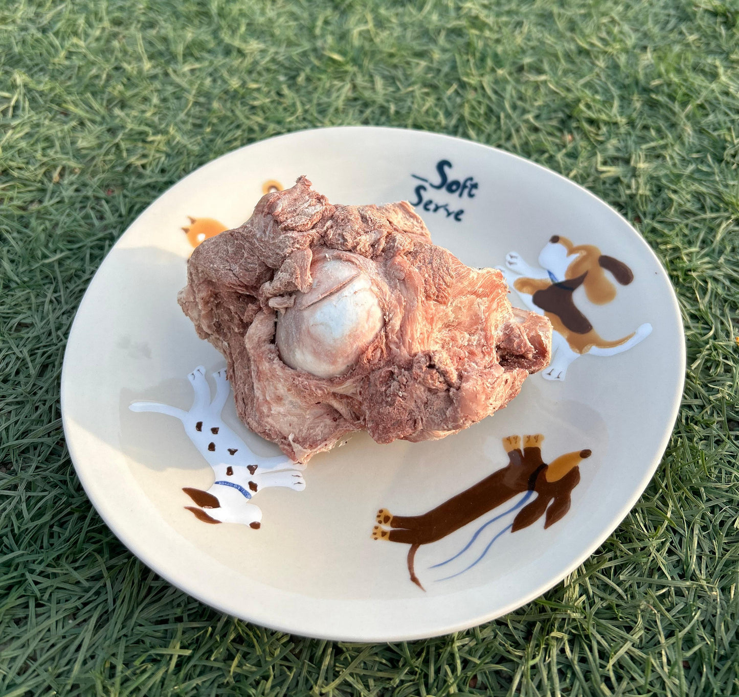 Lamb Femur Bones Freeze-Dried